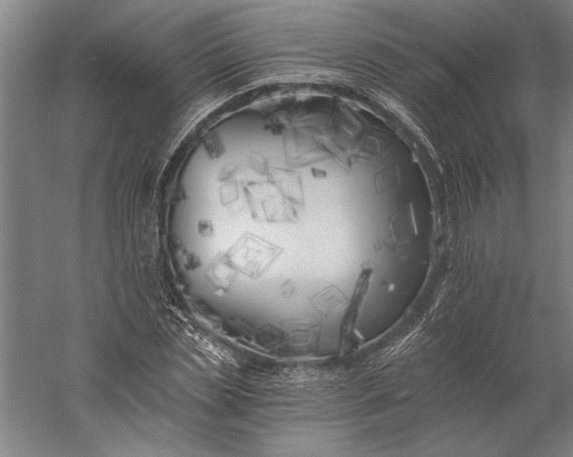 X0000056360829200509091620