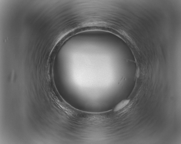 X0000056360830200509091620