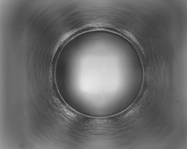 X0000056360831200509091620