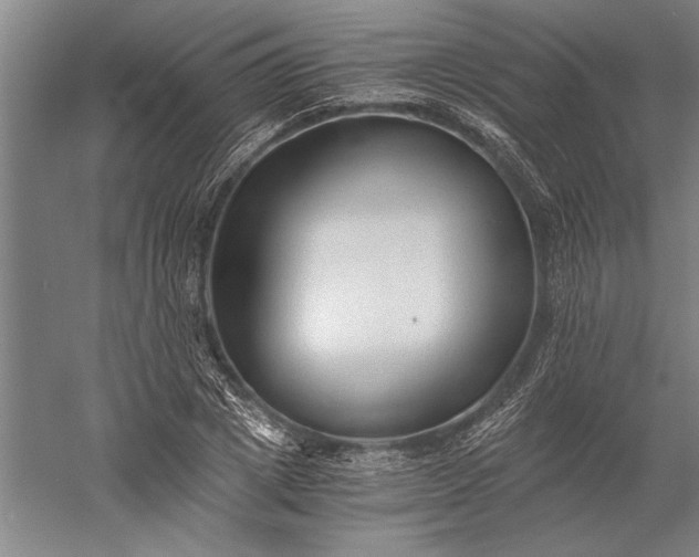 X0000056360833200509091620