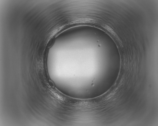 X0000056360834200509091620