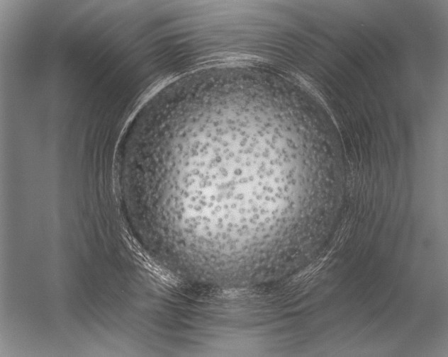 X0000056360835200509091620