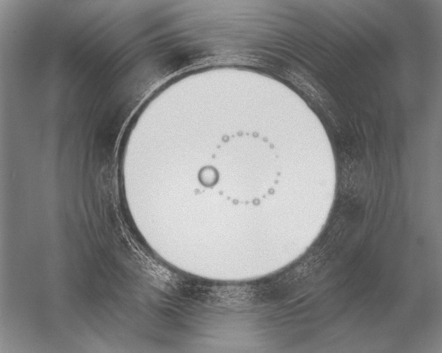 X0000056360836200509091620