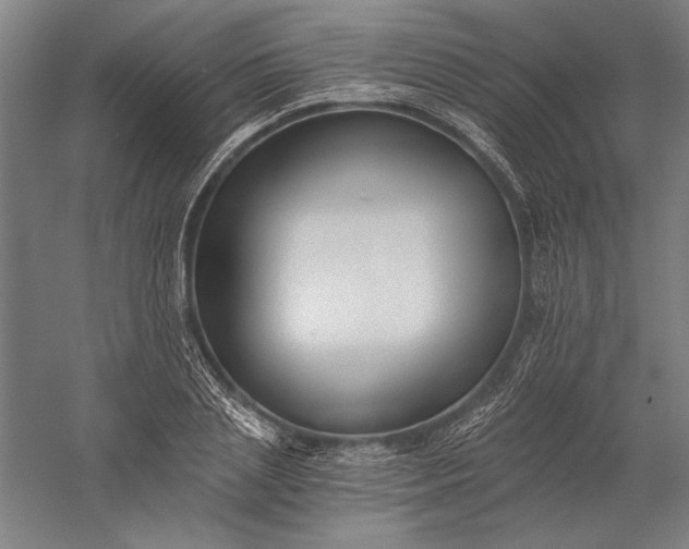 X0000056360837200509091620