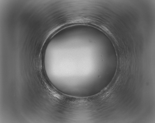 X0000056360838200509091620