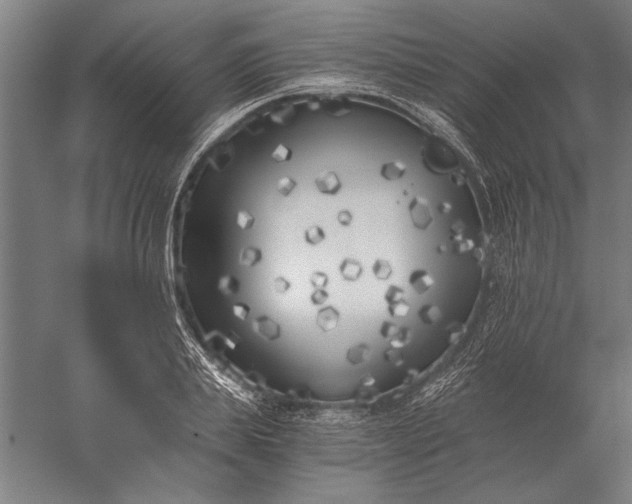 X0000056360839200509091620