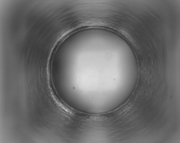 X0000056360840200509091620