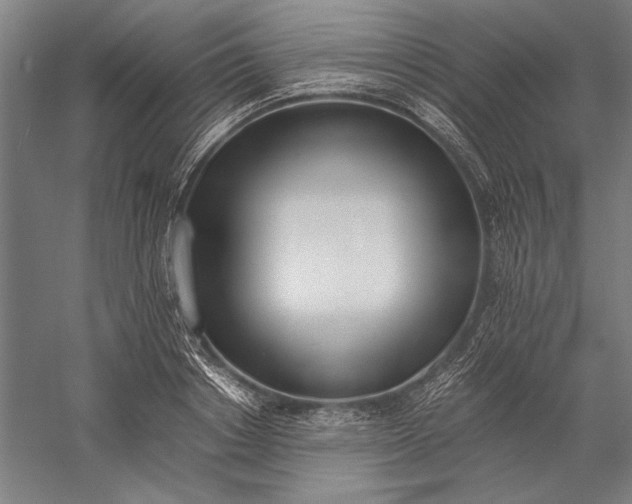 X0000056360842200509091620