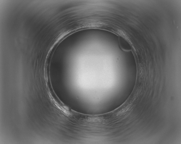 X0000056360843200509091620