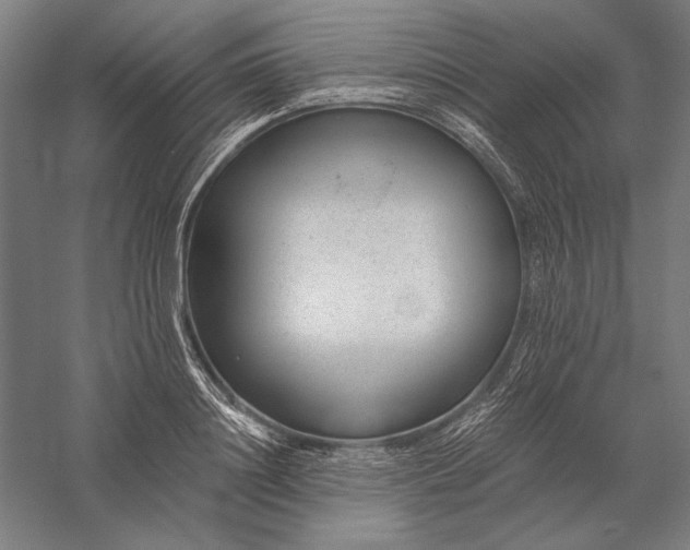 X0000056360844200509091620