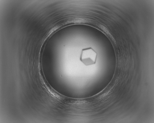 X0000056360845200509091620