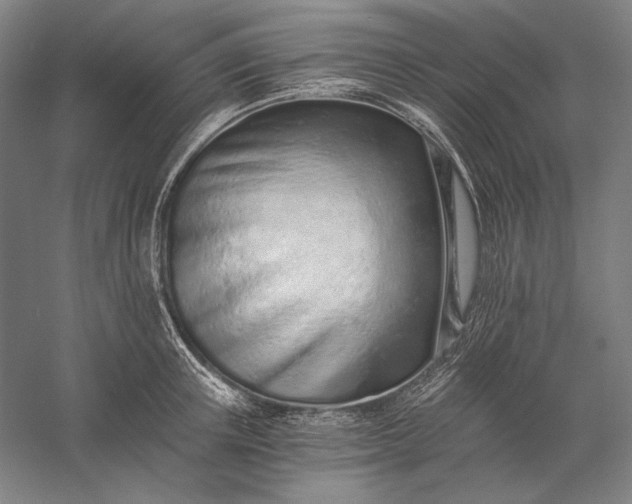 X0000056360851200509091621