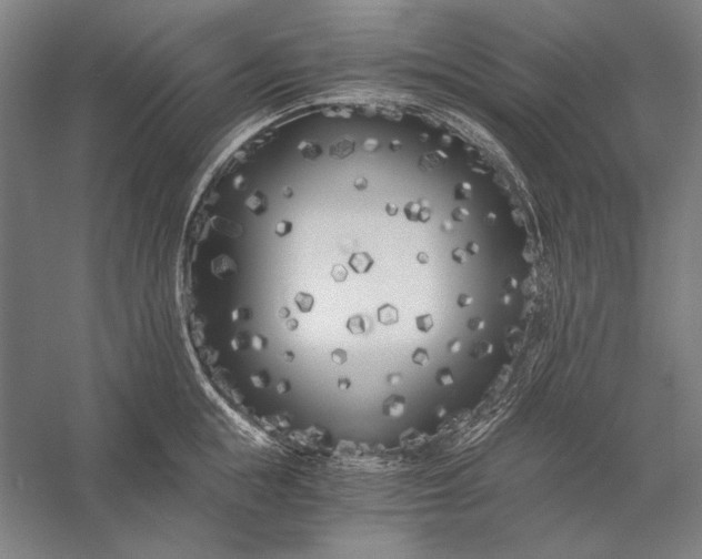 X0000056360855200509091621