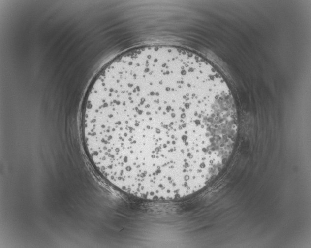 X0000056360856200509091621