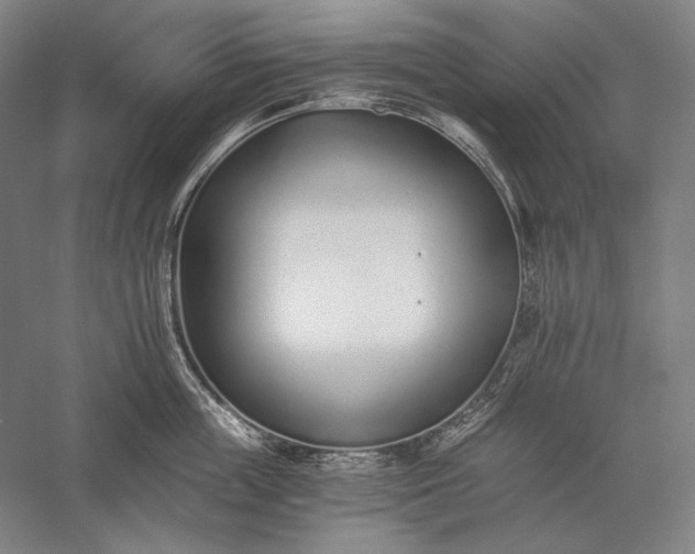 X0000056360859200509091621