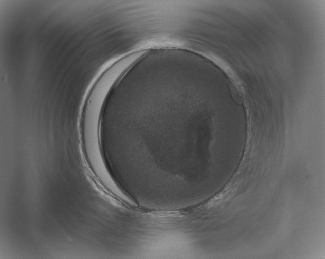 X0000056360864200509091621