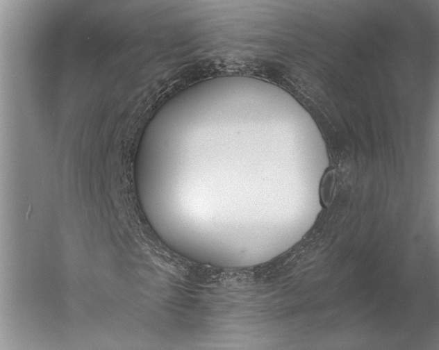 X0000056360865200509091620