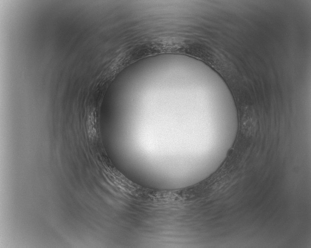 X0000056360866200509091620