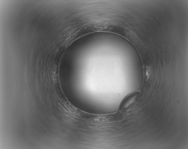 X0000056360867200509091620