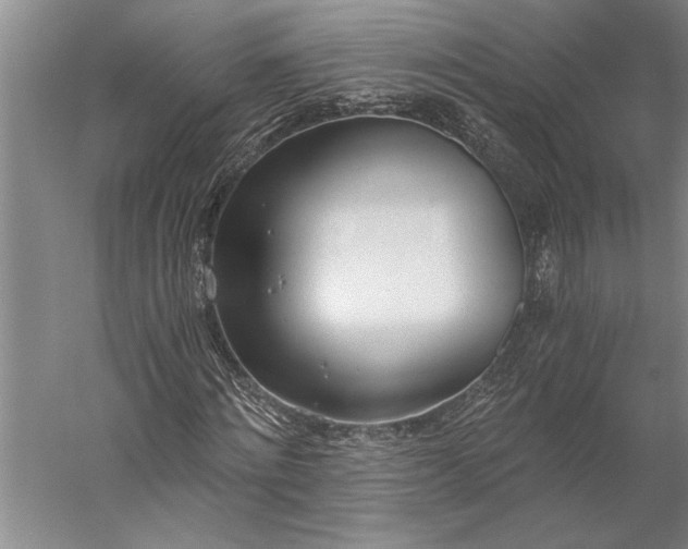 X0000056360868200509091620