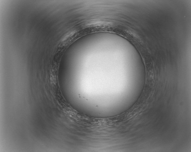 X0000056360869200509091620