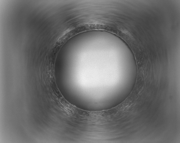 X0000056360870200509091620