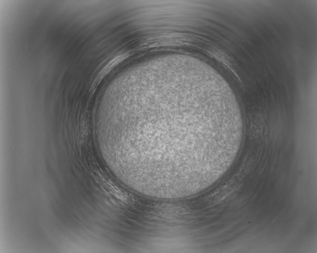 X0000056360874200509091620