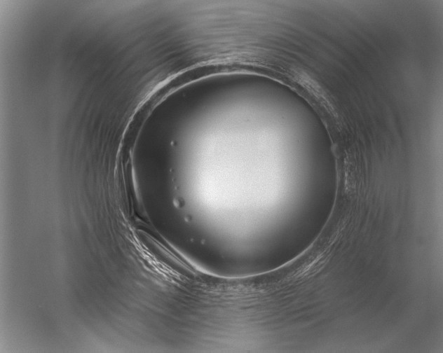 X0000056360876200509091620