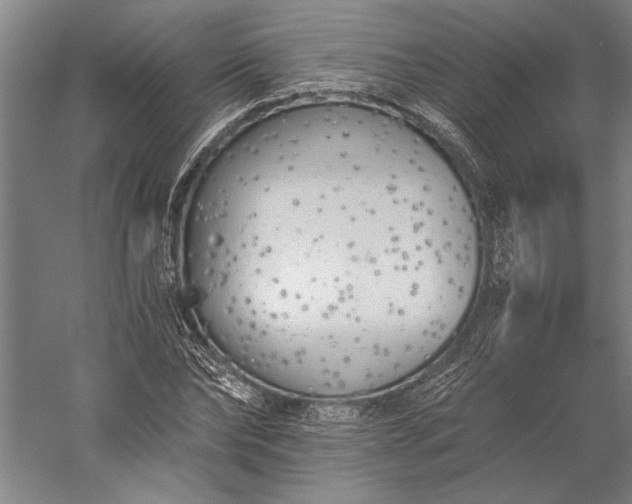 X0000056360878200509091620