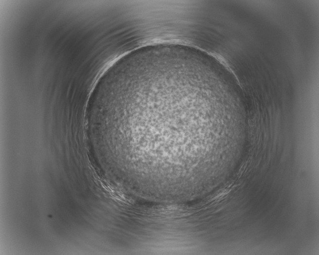 X0000056360879200509091620