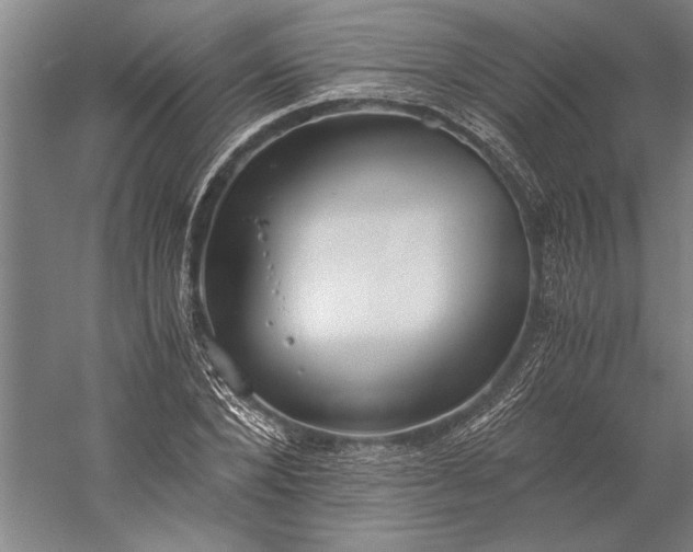 X0000056360880200509091620