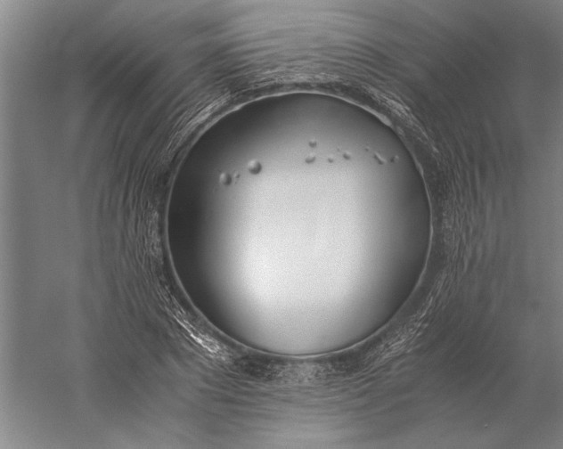 X0000056360881200509091620