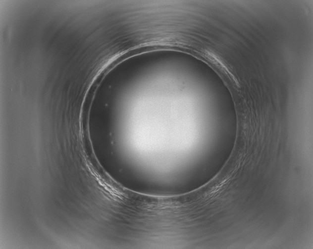 X0000056360884200509091620