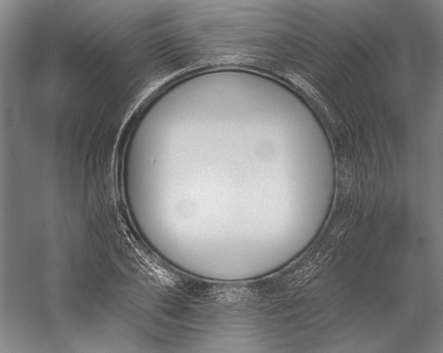 X0000056360886200509091620