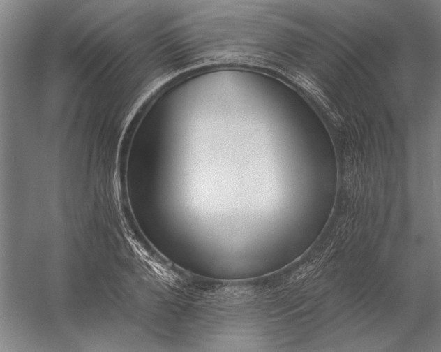 X0000056360888200509091620