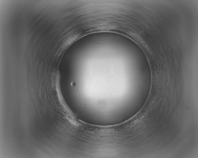 X0000056360889200509091620