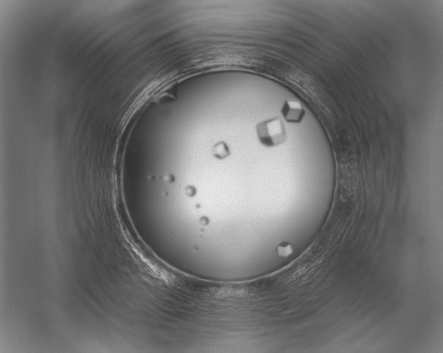 X0000056360890200509091620