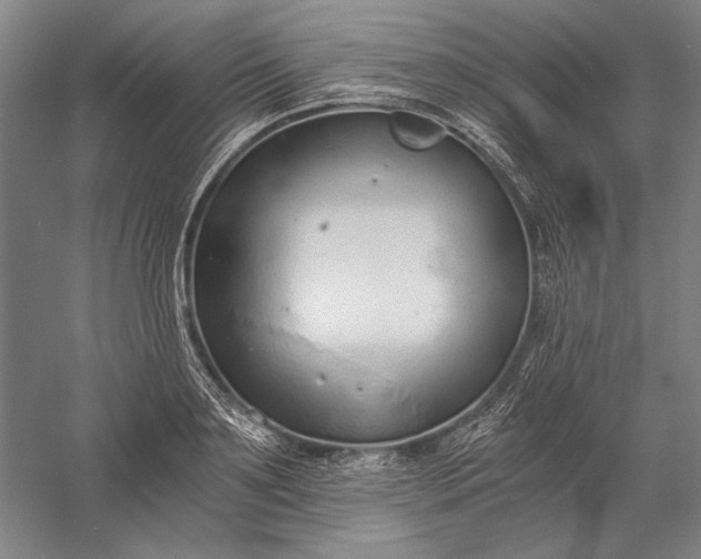 X0000056360891200509091620