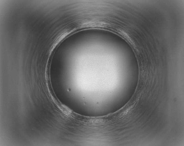 X0000056360893200509091619