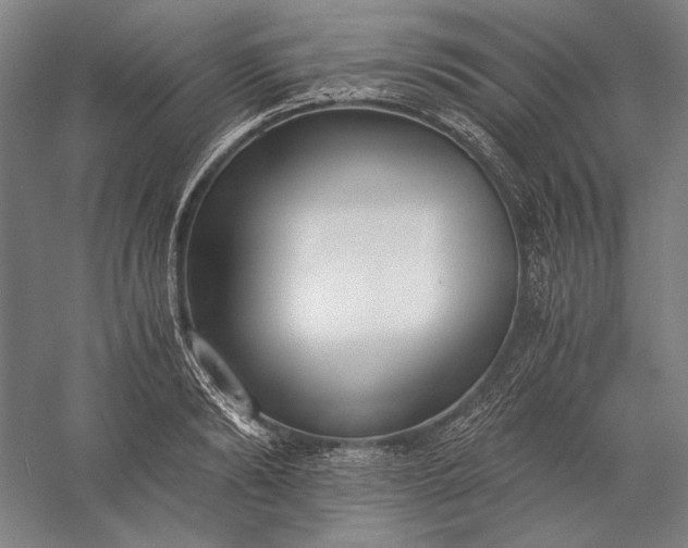 X0000056360894200509091619