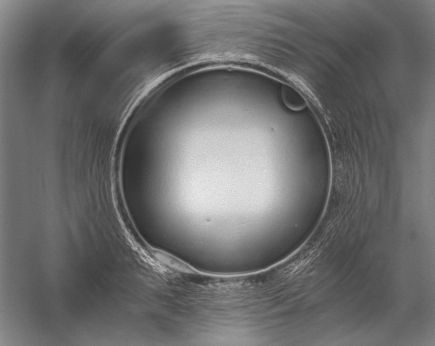 X0000056360895200509091619