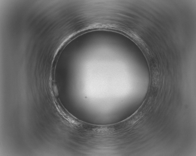 X0000056360896200509091619