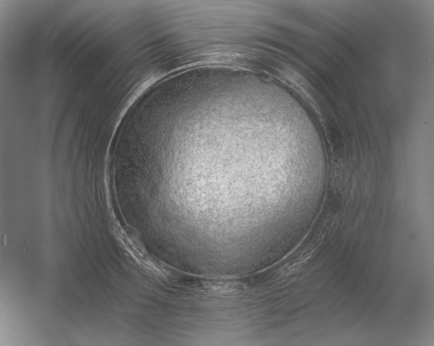 X0000056360899200509091619