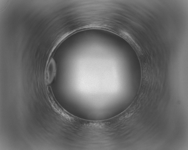 X0000056360900200509091619