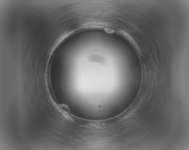 X0000056360901200509091619