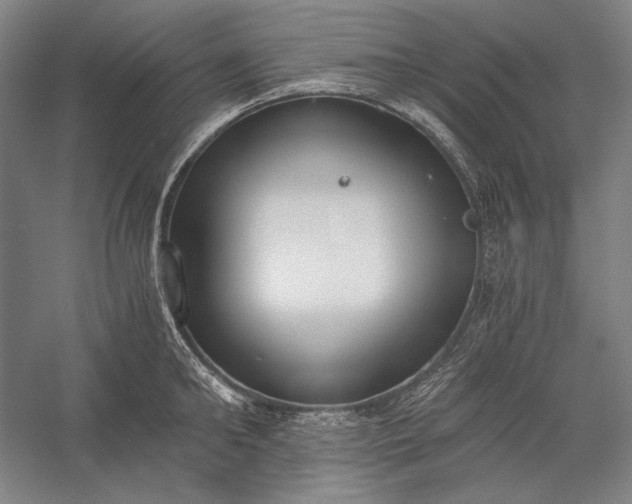 X0000056360902200509091619