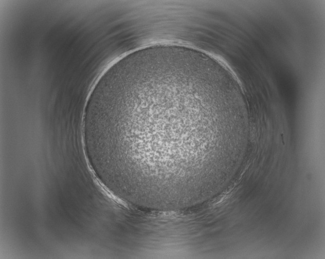 X0000056360903200509091619