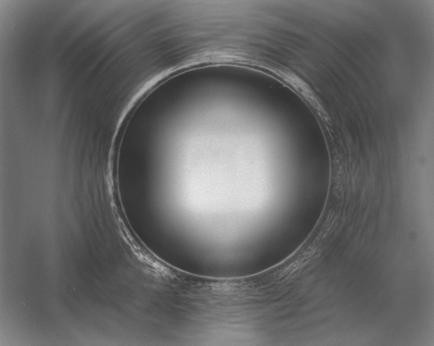 X0000056360904200509091619