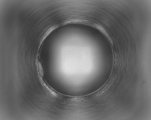 X0000056360906200509091619