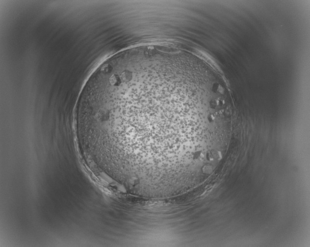 X0000056360907200509091619